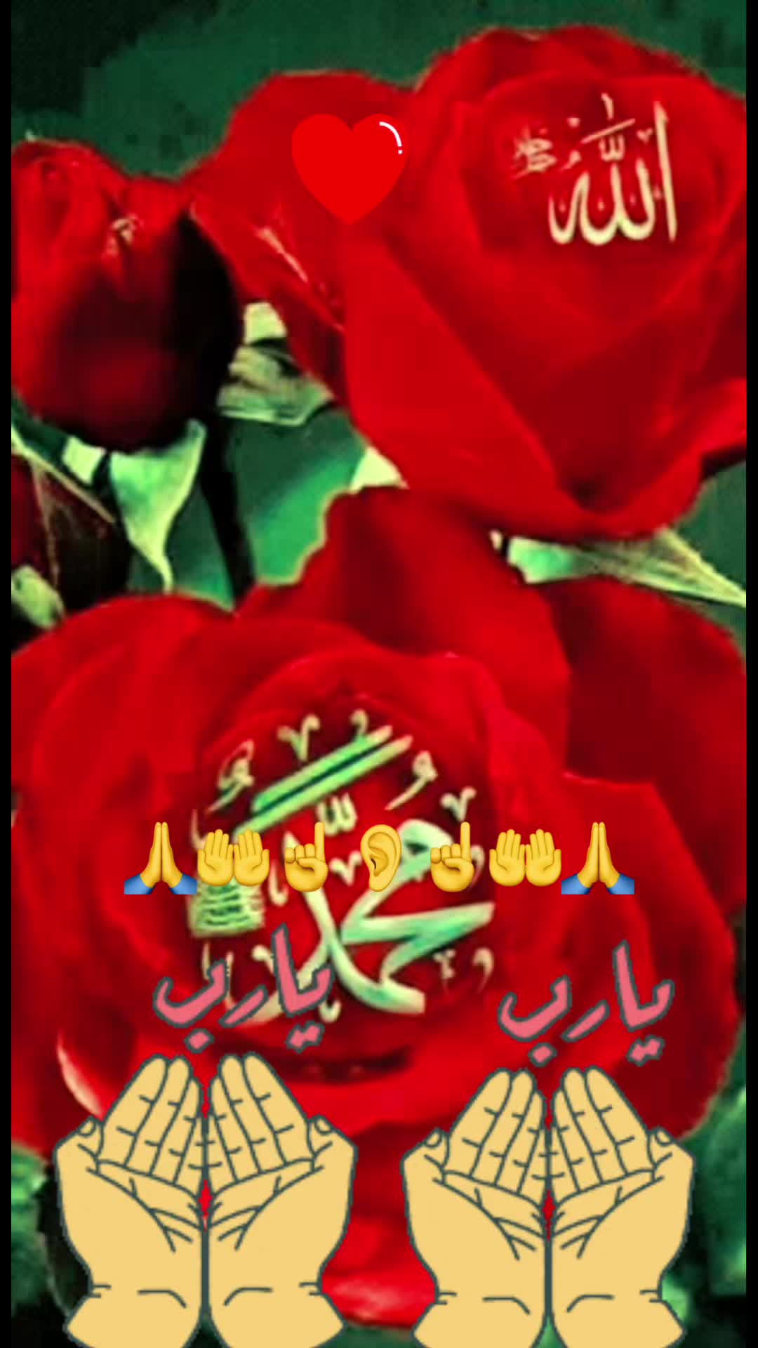 @Osman Bey