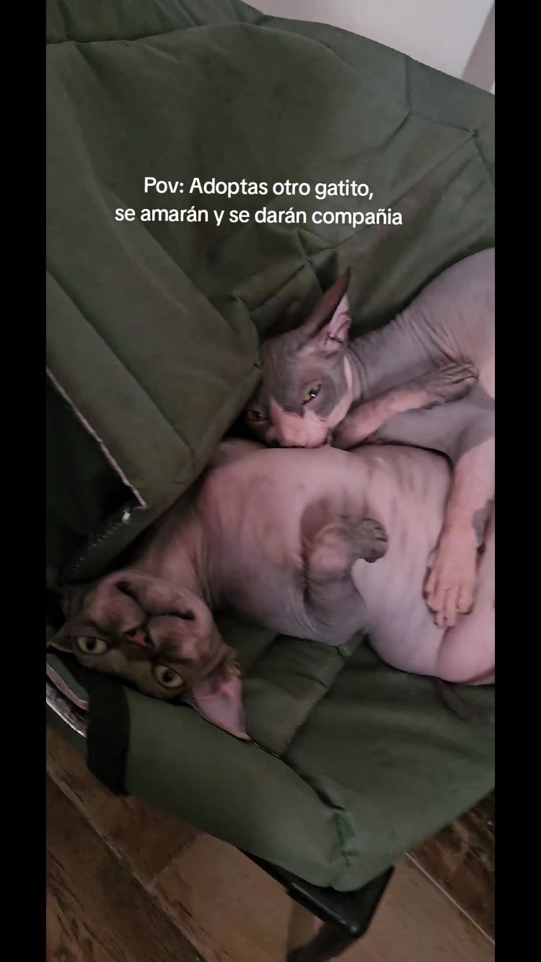 @Kiwita ❤️