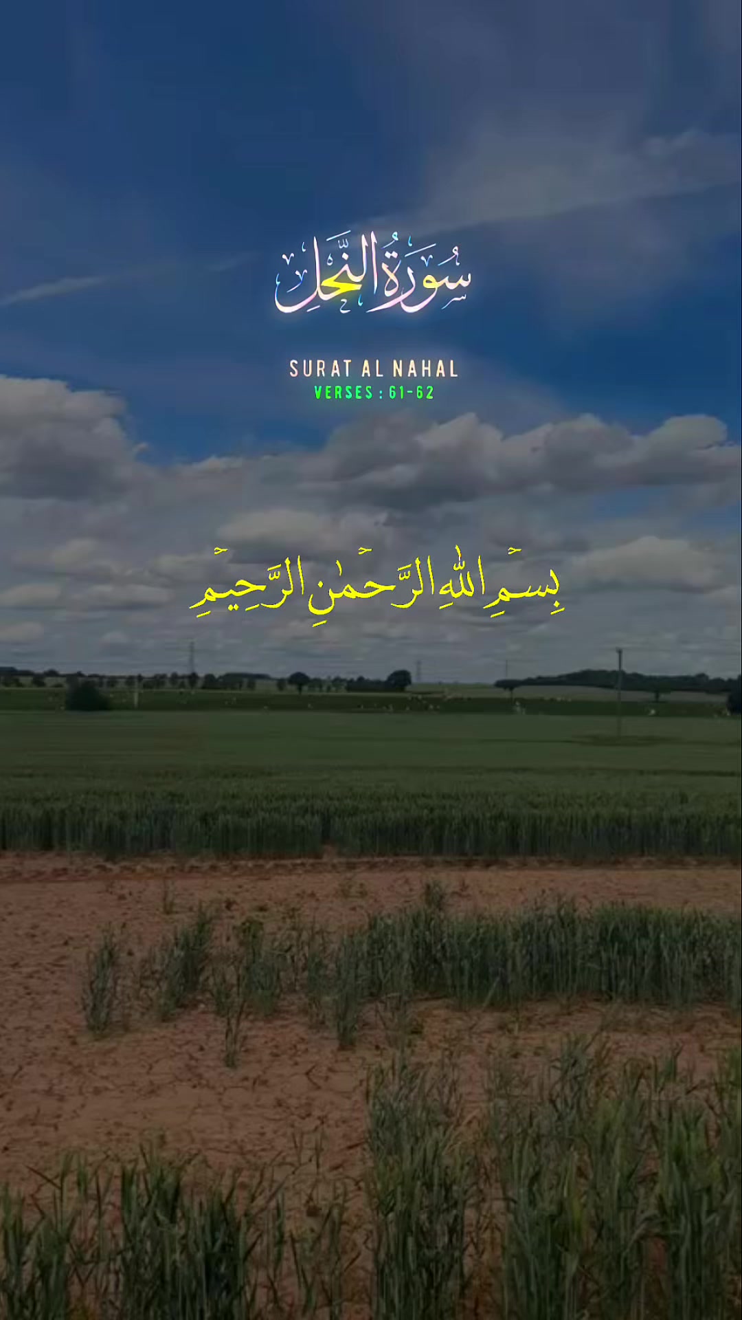 @maqrafiq