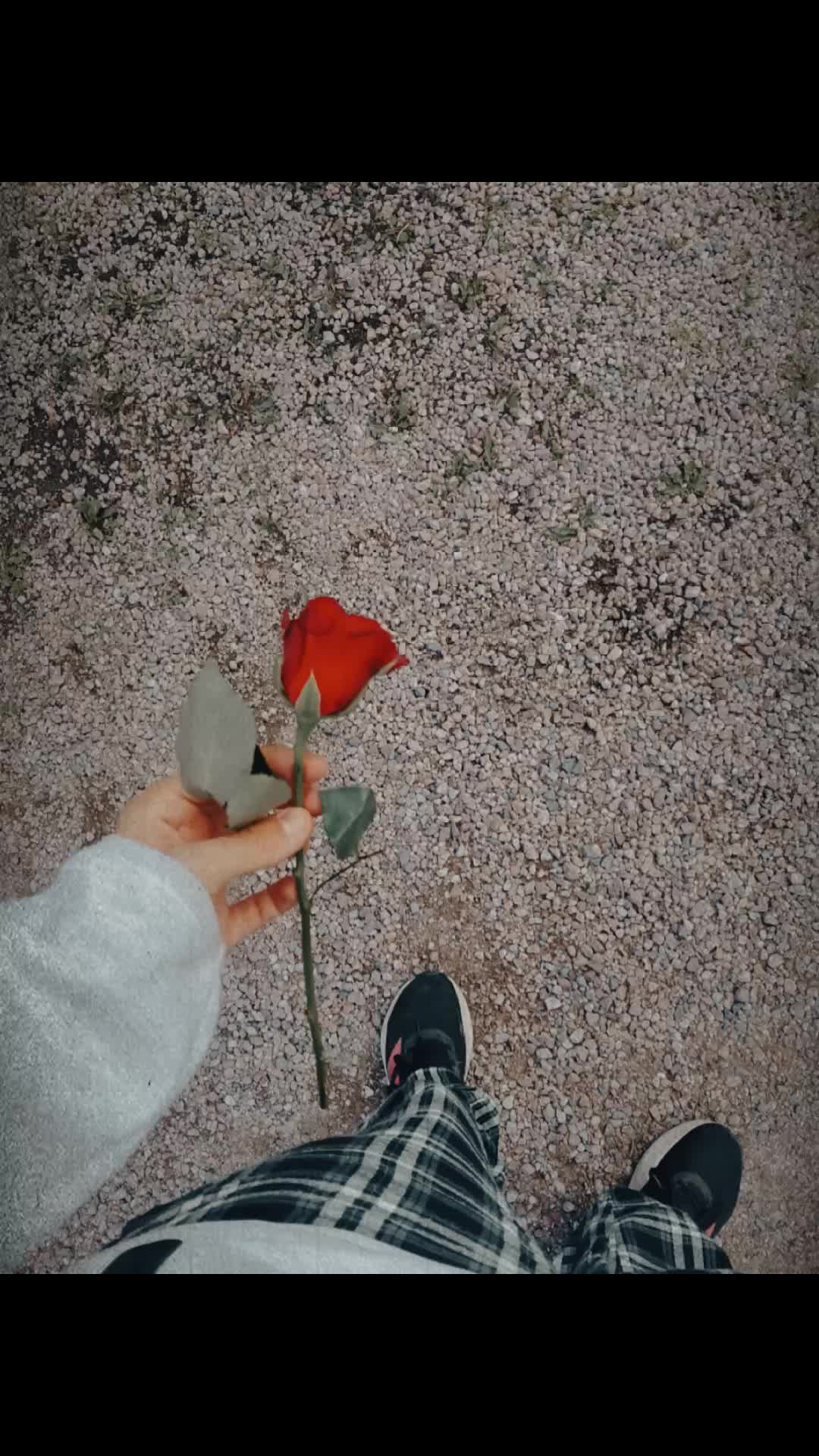 @𝔧𝔞𝔨𝔬𝔟 𝔏𝔦𝔫𝔡𝔮𝔳𝔦𝔰𝔱