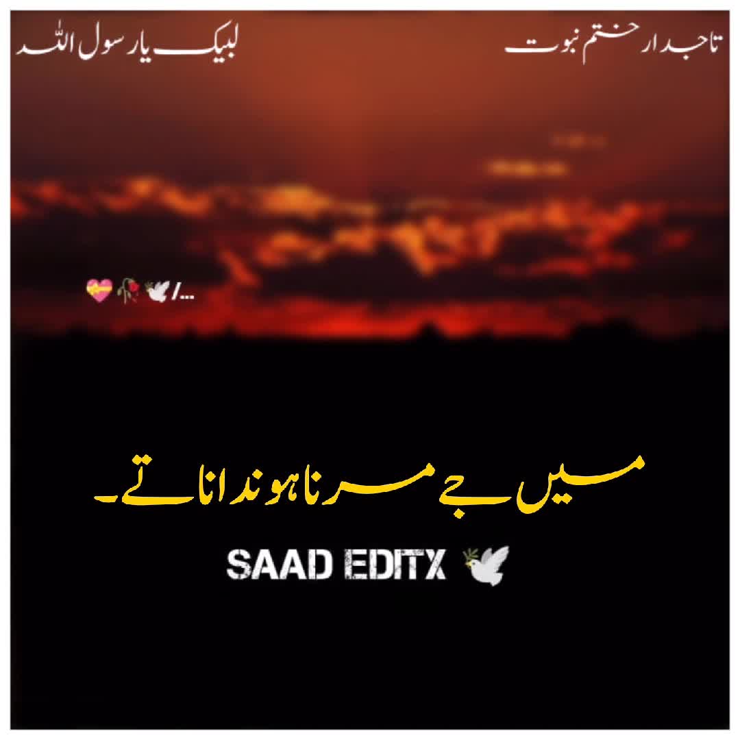 @𝗦𝗮𝗮𝗱 𝗘𝗱𝗶𝘁𝘅 🕊️
