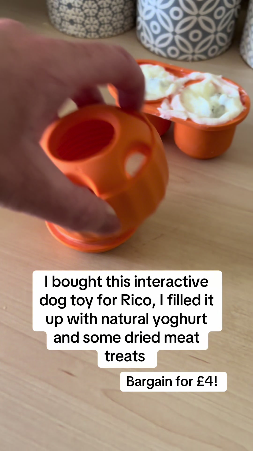 @Marie & Rico the Rottie