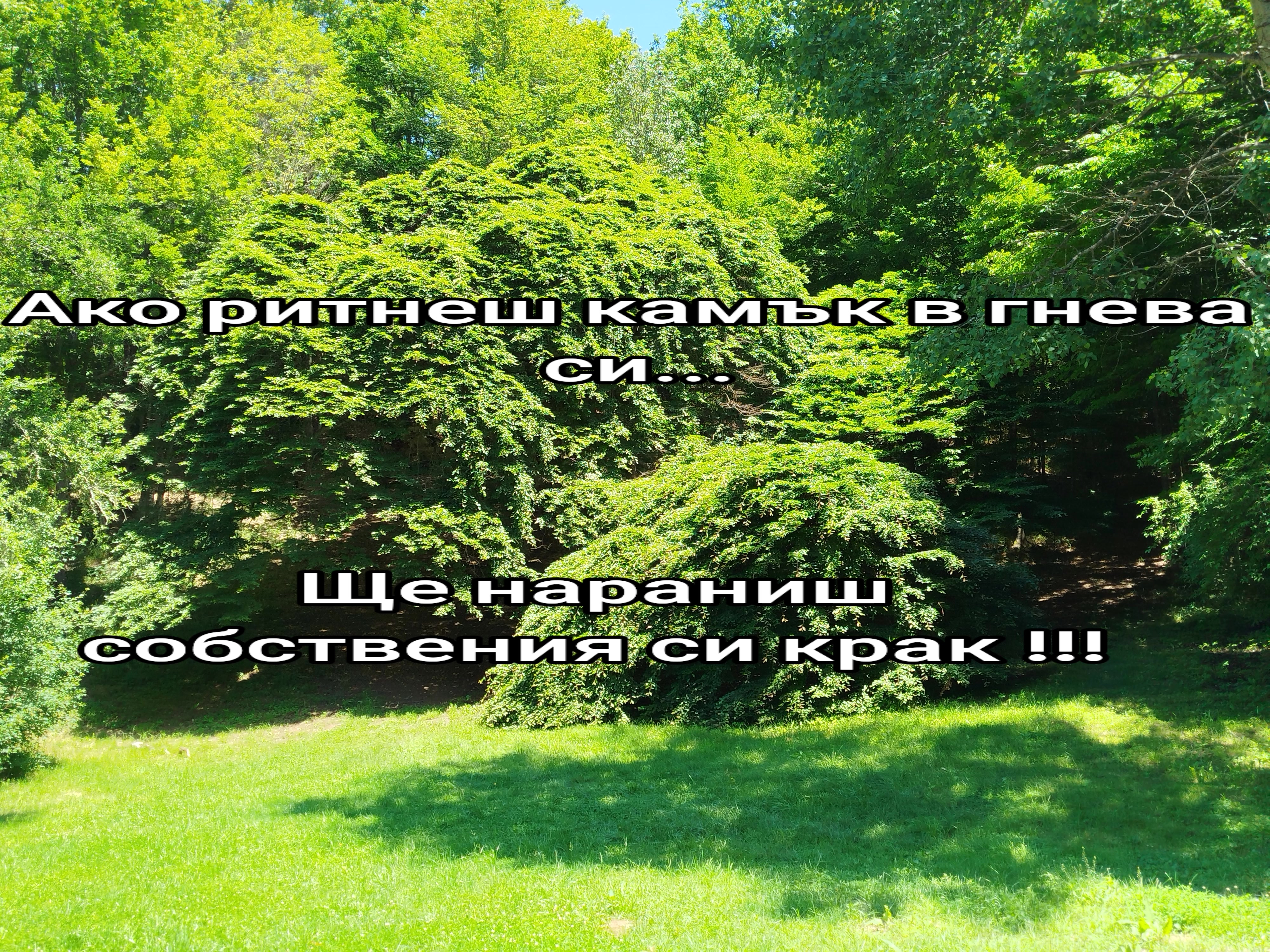 @Милко Иванов