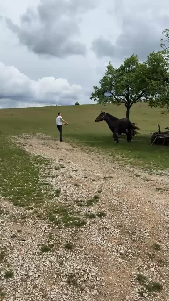 @Paul 🤟