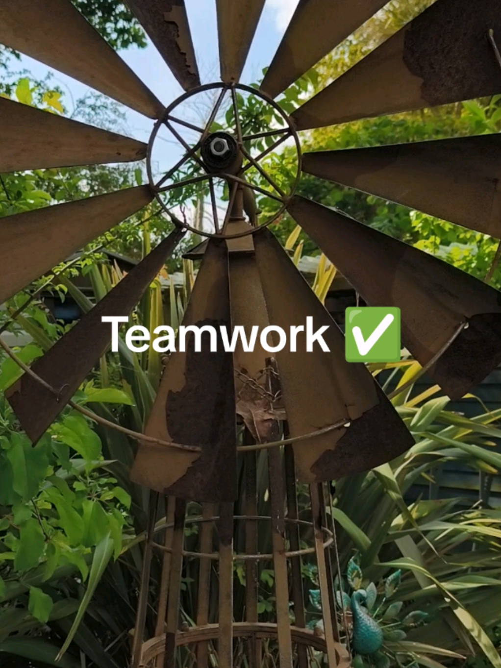 @Teamwork