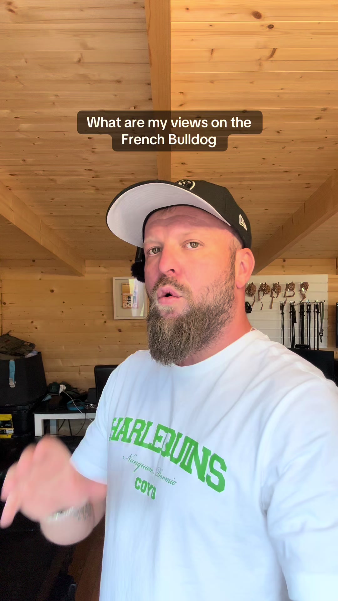 @SouthendDogTraining