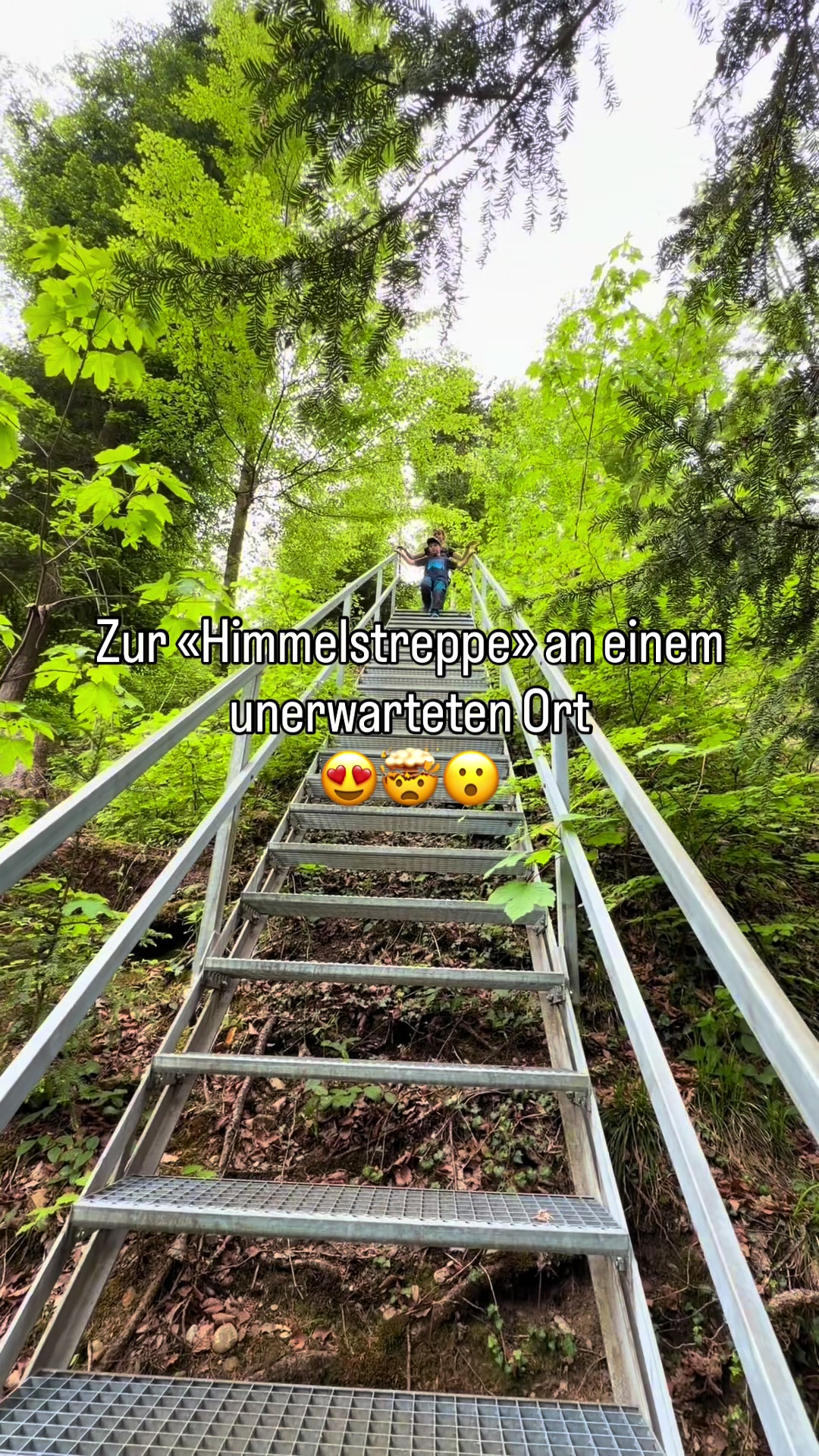 @retofoxfehr