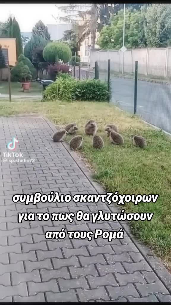 @Kokkwn Kwstas