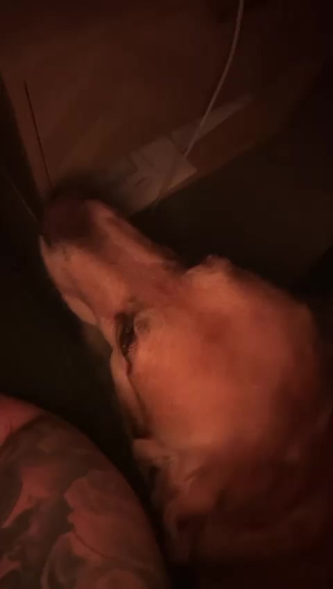@Marley..🐾❤️