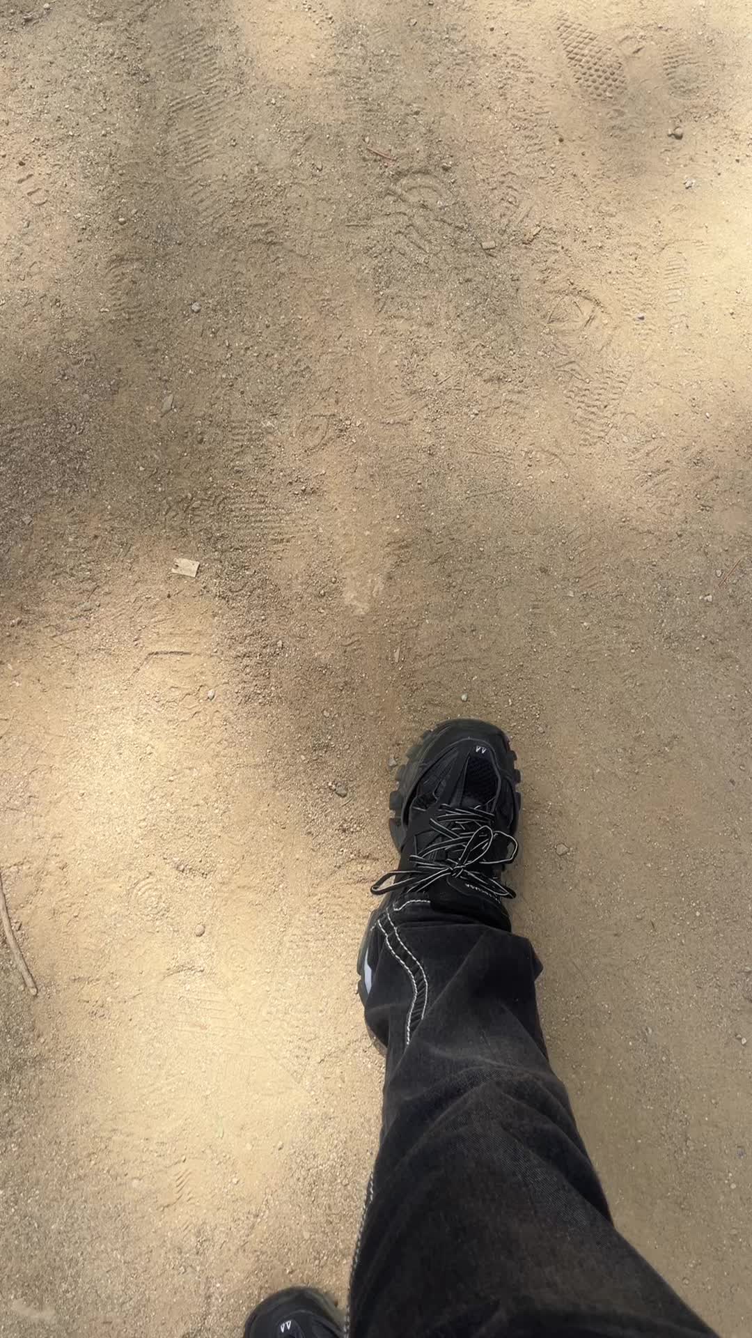 @✧✧🌺🐪✧✧
