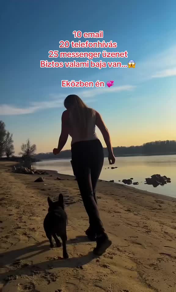@Mia_french_bulldog