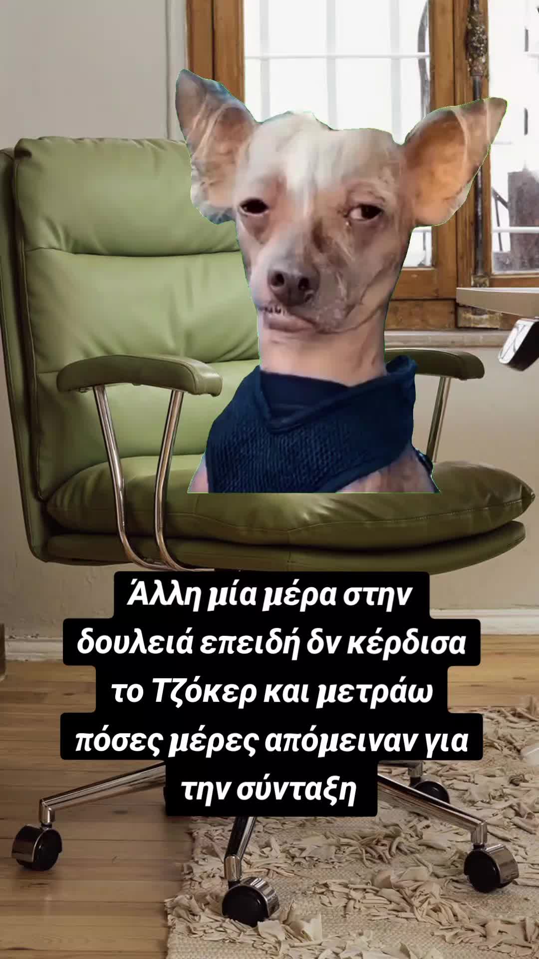 @🐒lena💫