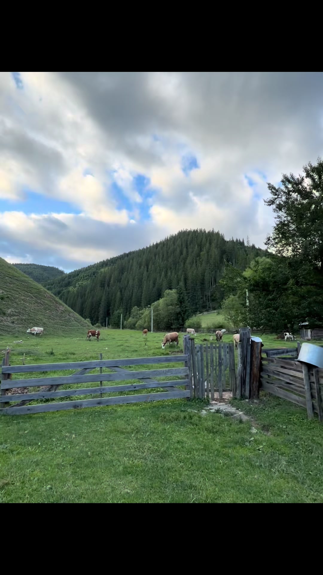 @Huni Bukuri 🇨🇭