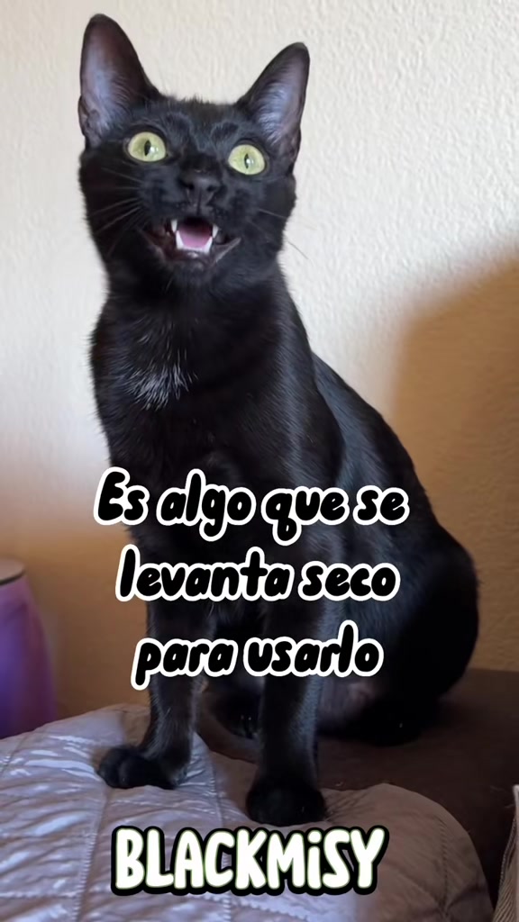 @BlackMisy