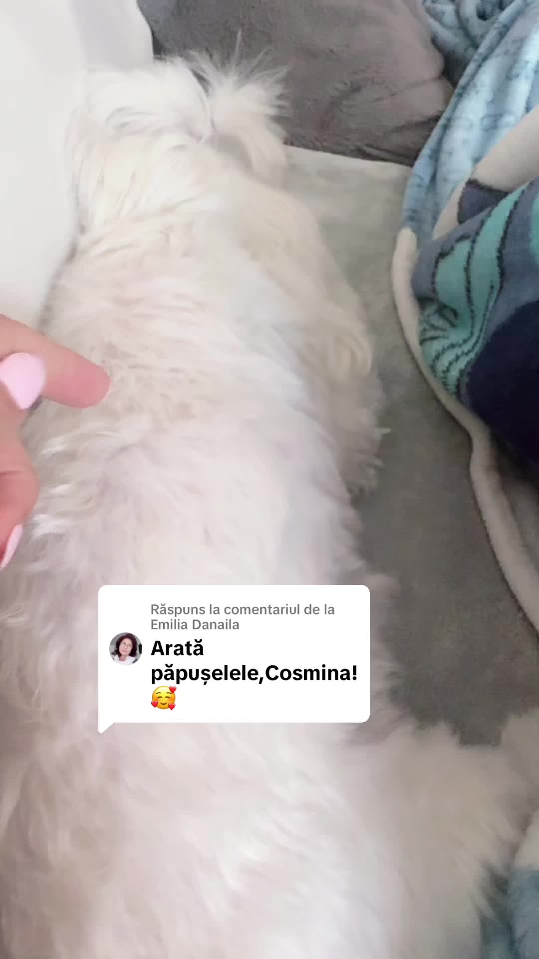 @Cosmina