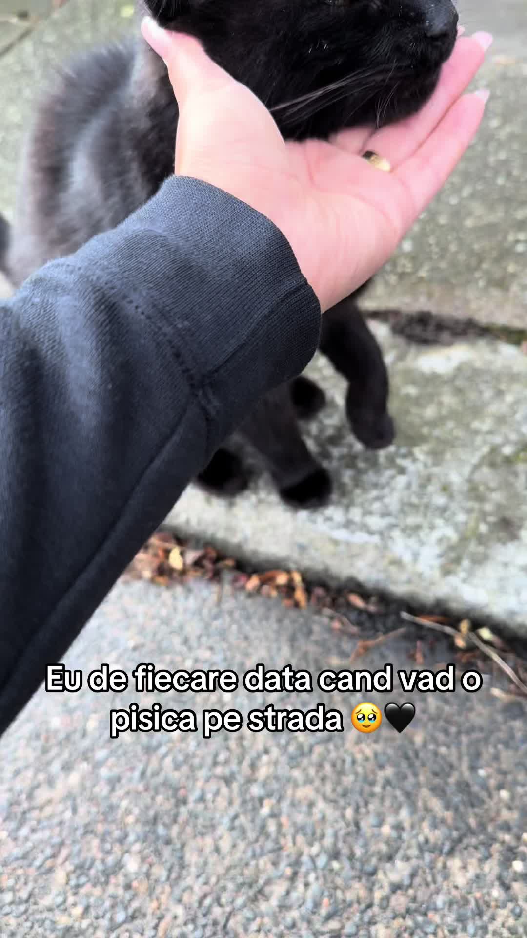 @Bianca🫧🧊🫐