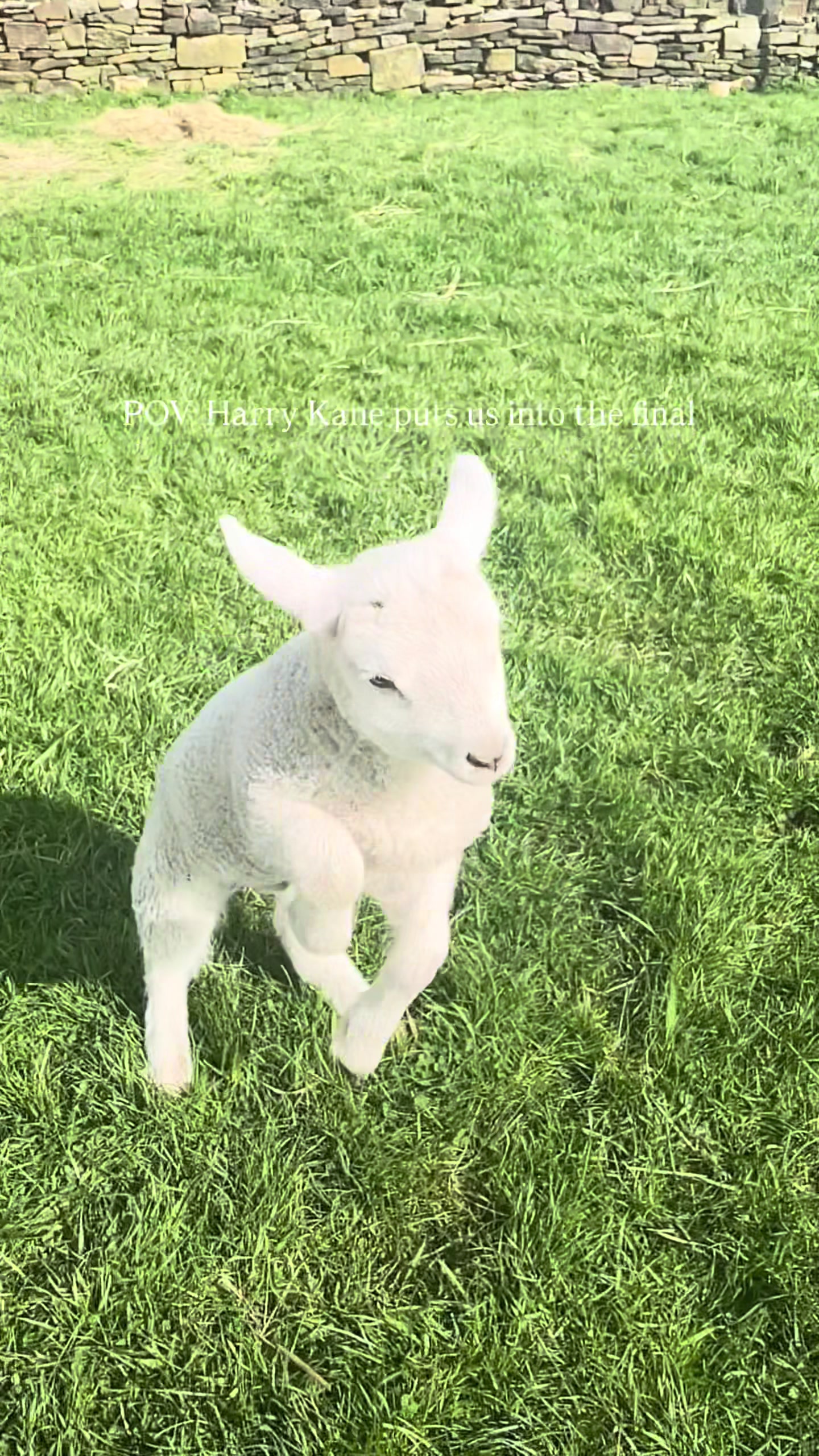 @itsthatfarmguy