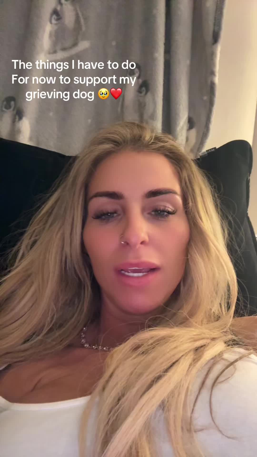 @lj11saj