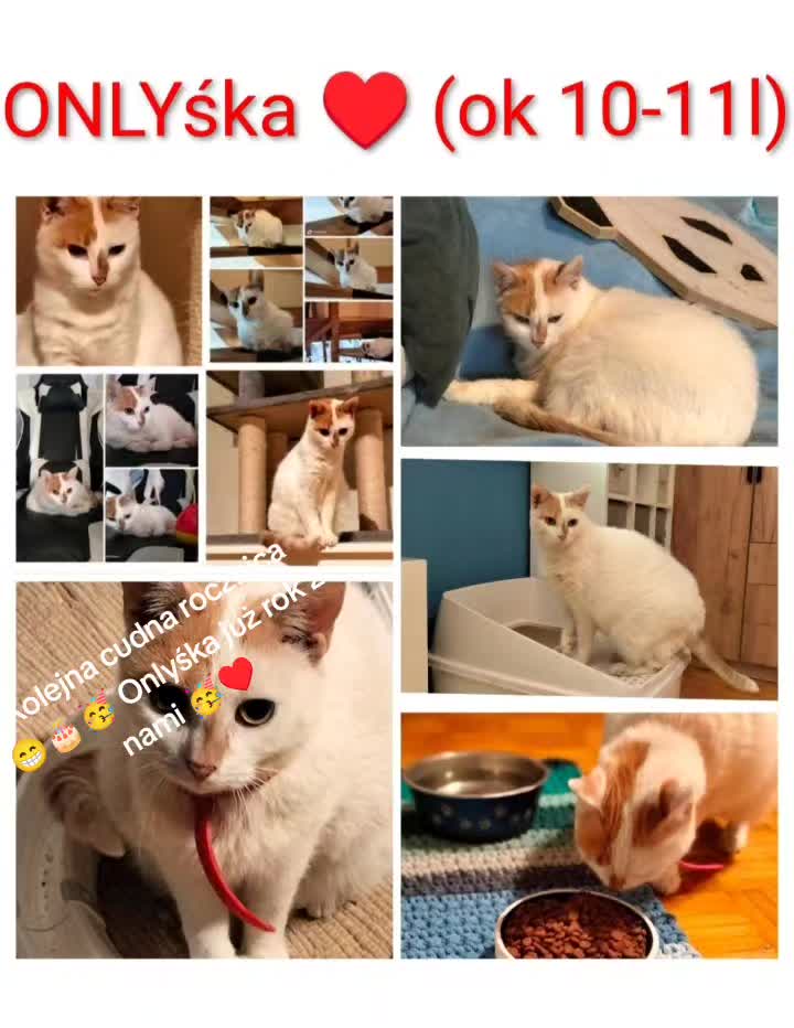 @OstojaUBabyJagi_AgaNowak