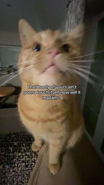 @Simba
