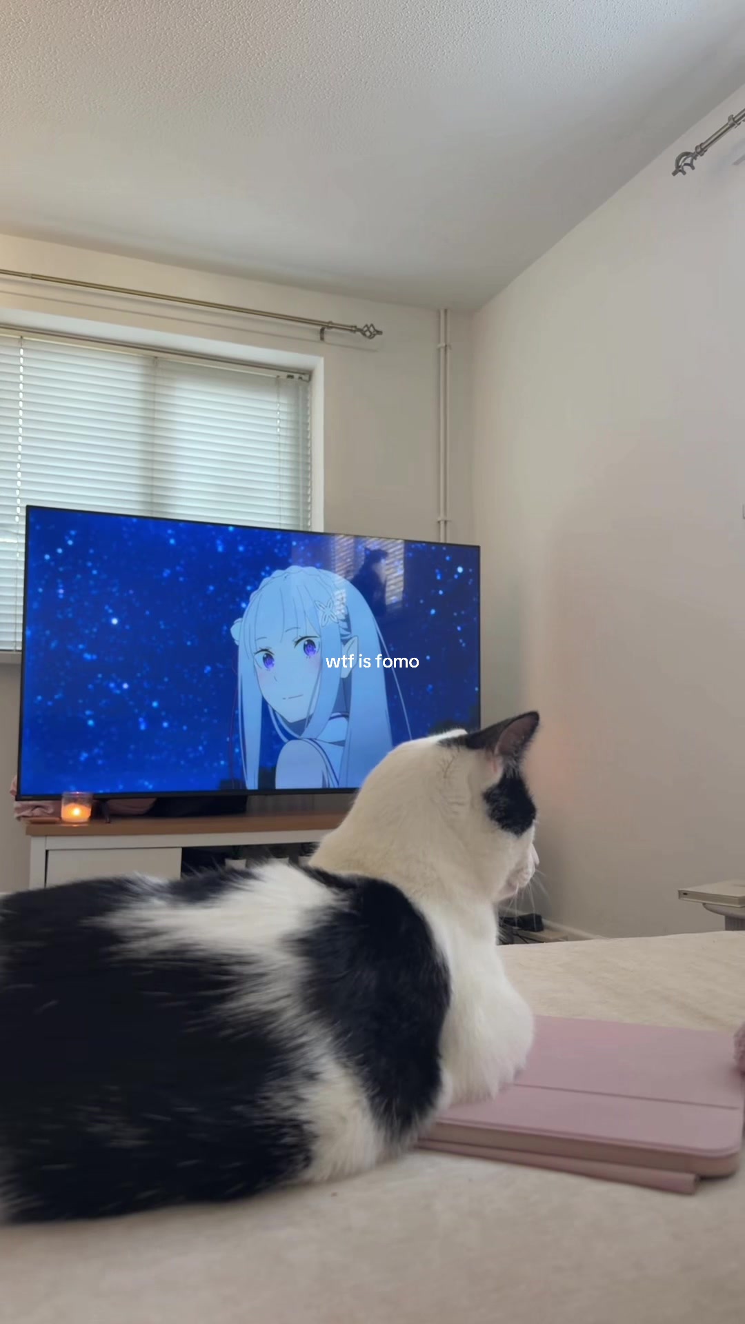 @rayᥫ᭡