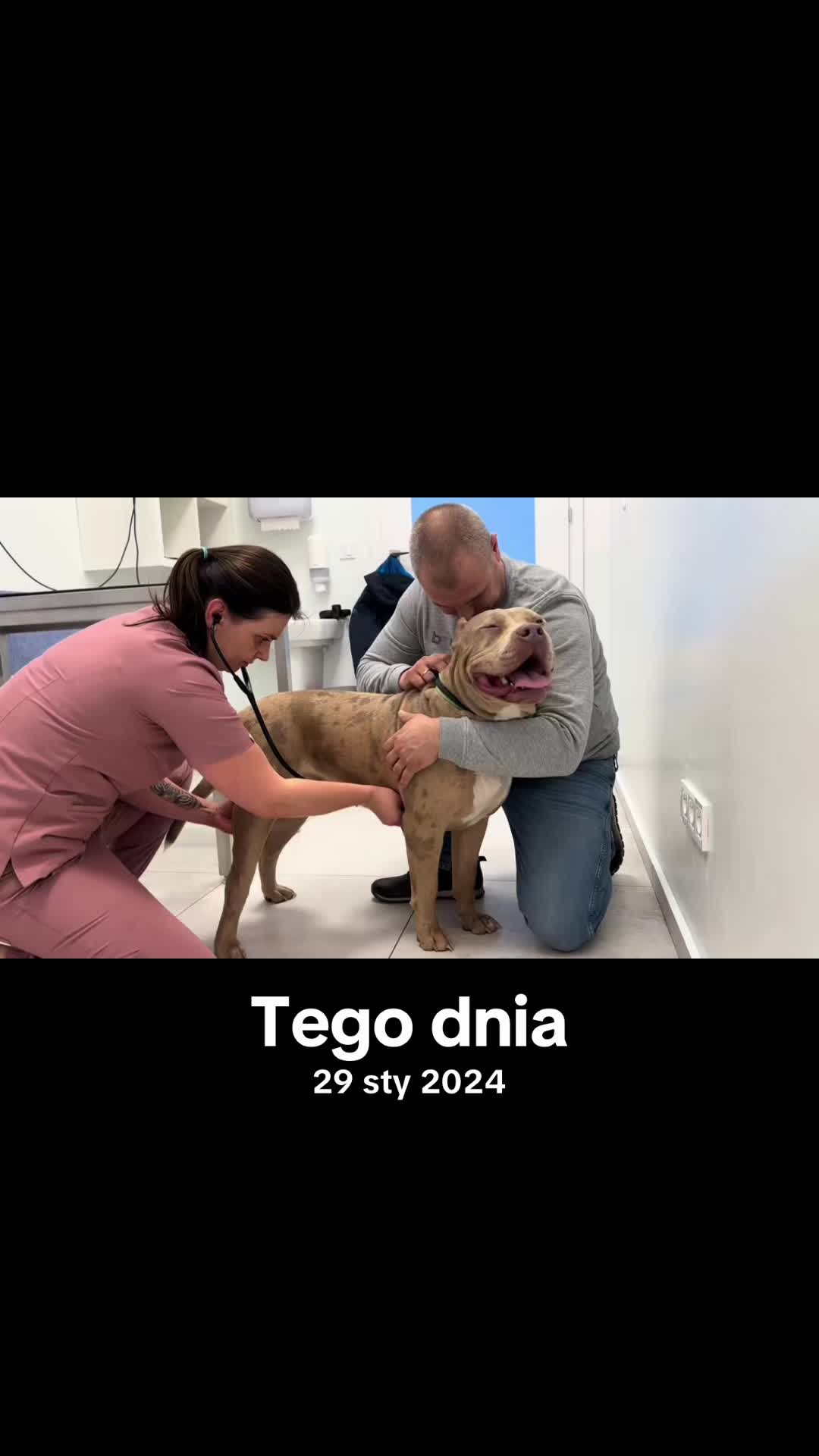 @TopQualityBullyKennel