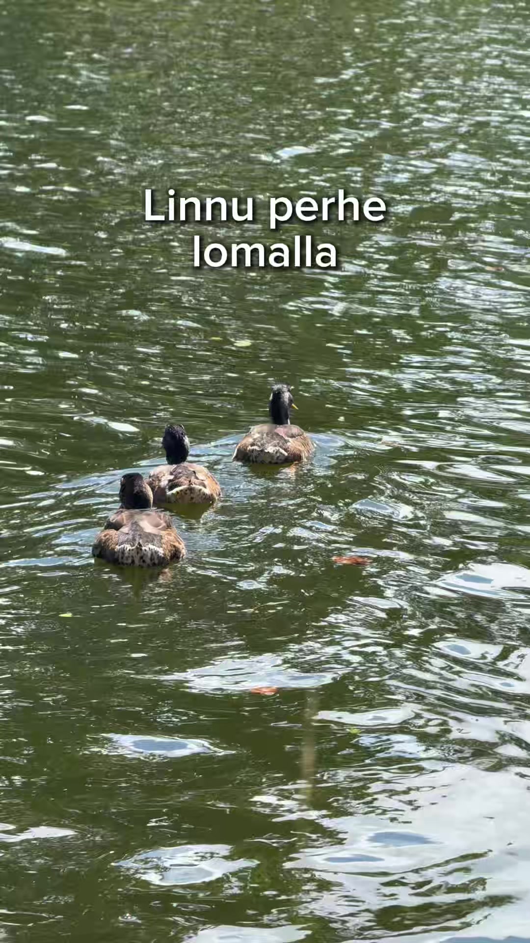 @sjalaatti