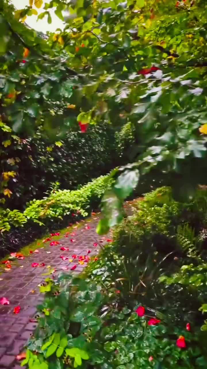 @._.A_M._.