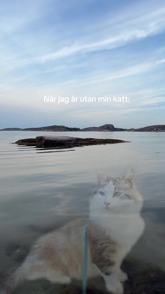 @Linn