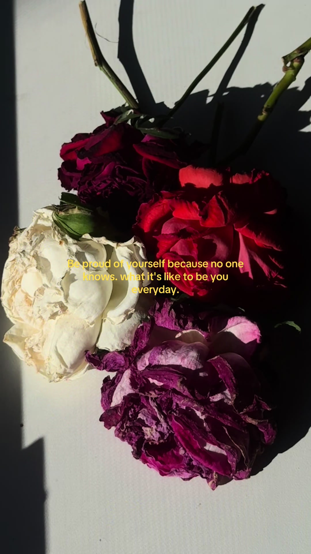 @elle quotes