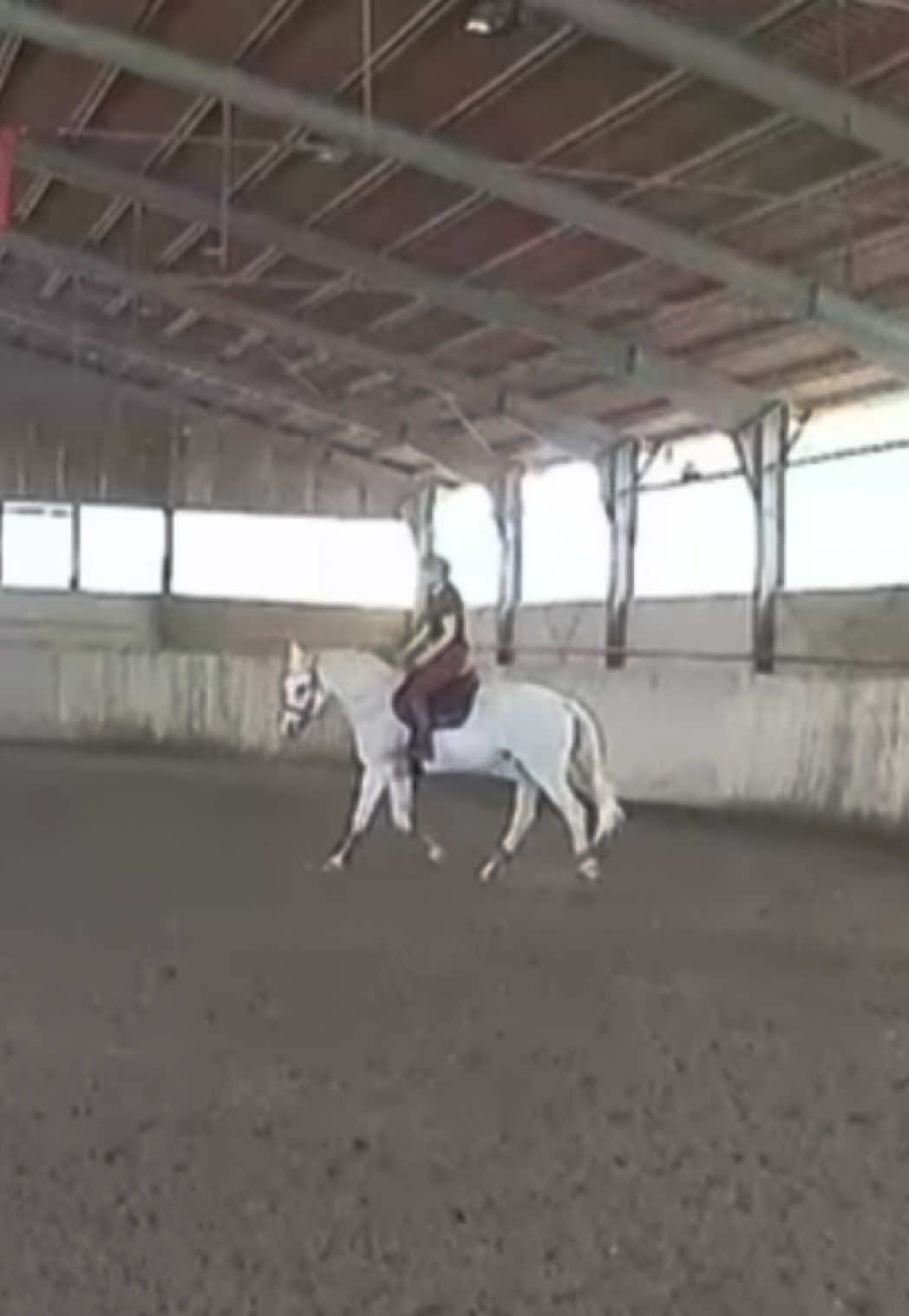 @Marta 🐴