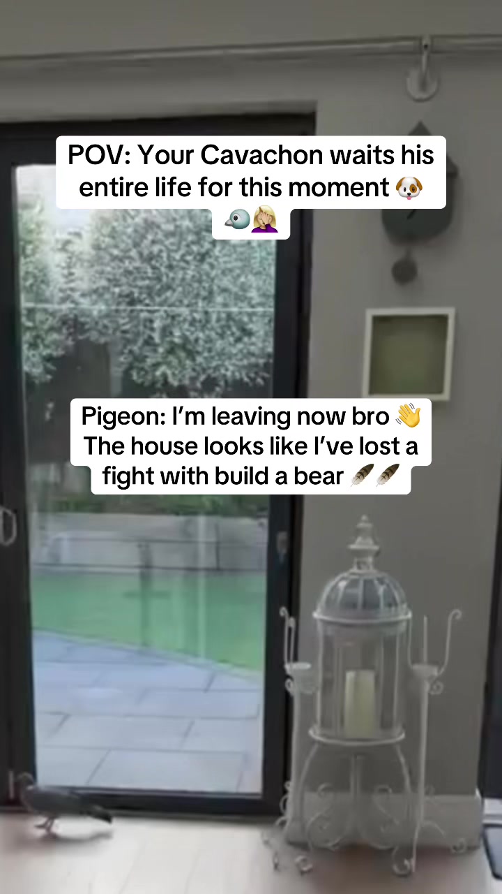 @LucyLou82