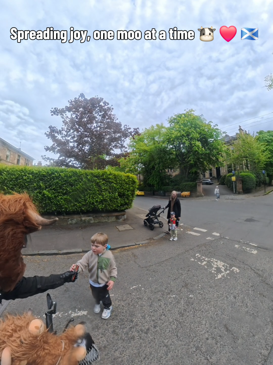 @Highland Cow Rider 🐮🏍