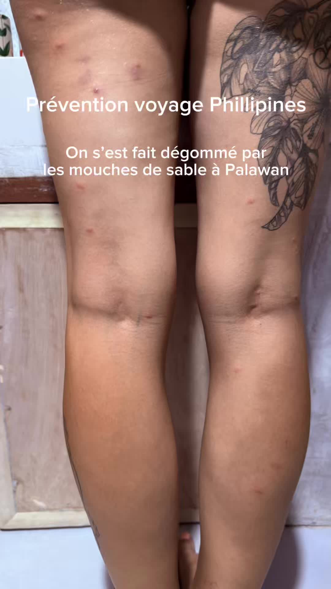 @Diana autour du monde