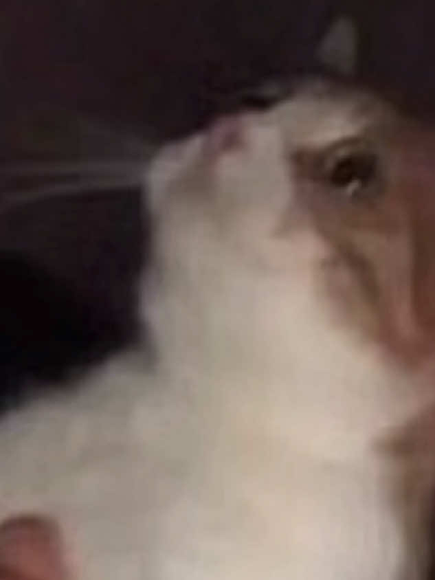 @…