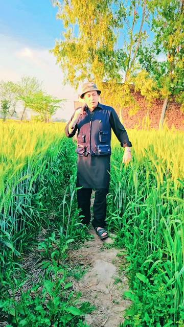 @muhammad tahir mahmood
