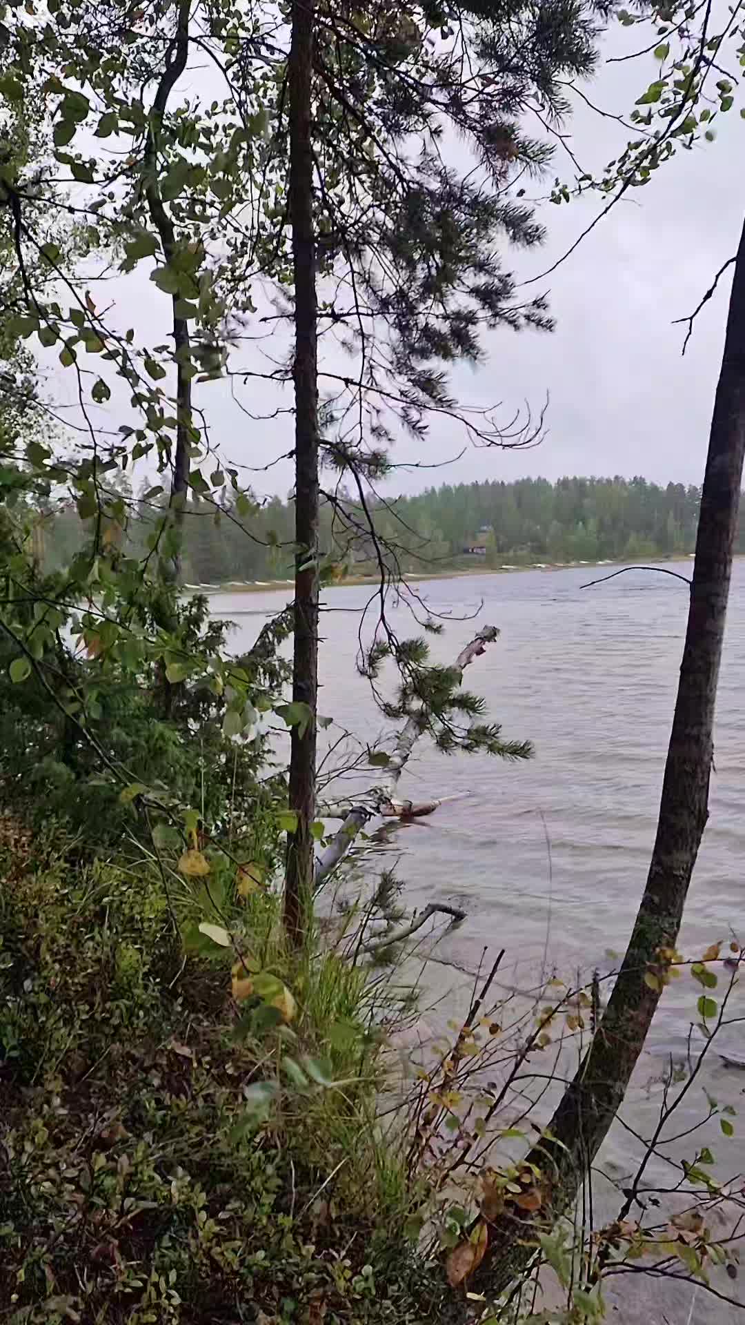 @Meimei🇫🇮Finland
