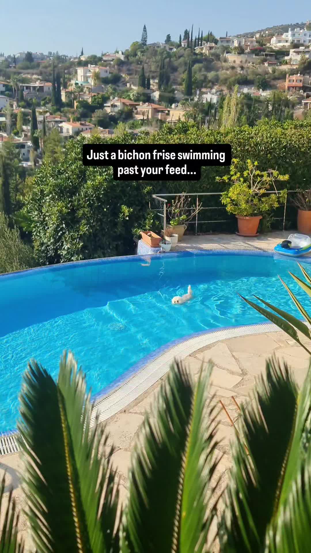 @Luna