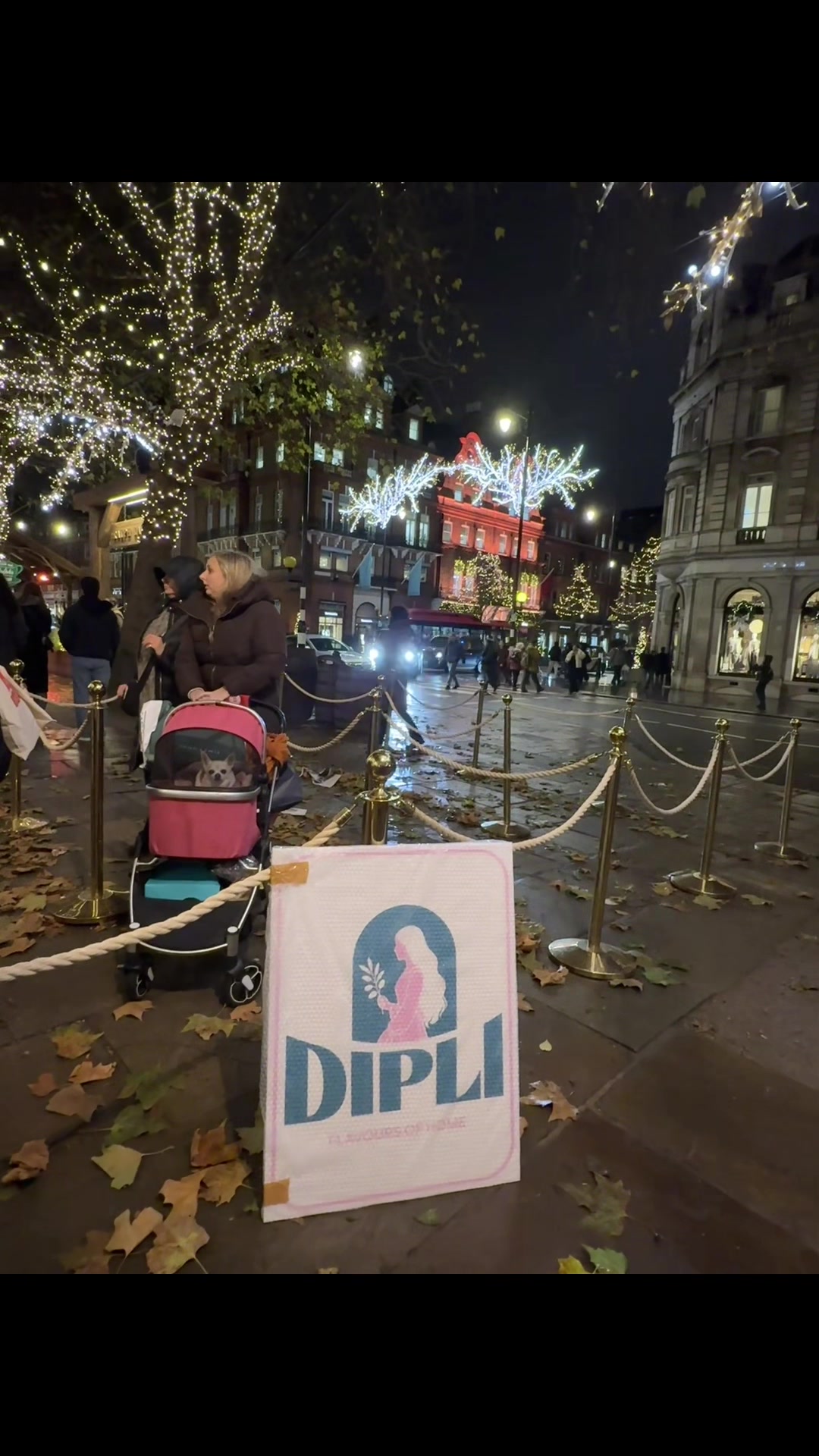 @Dipli.UK