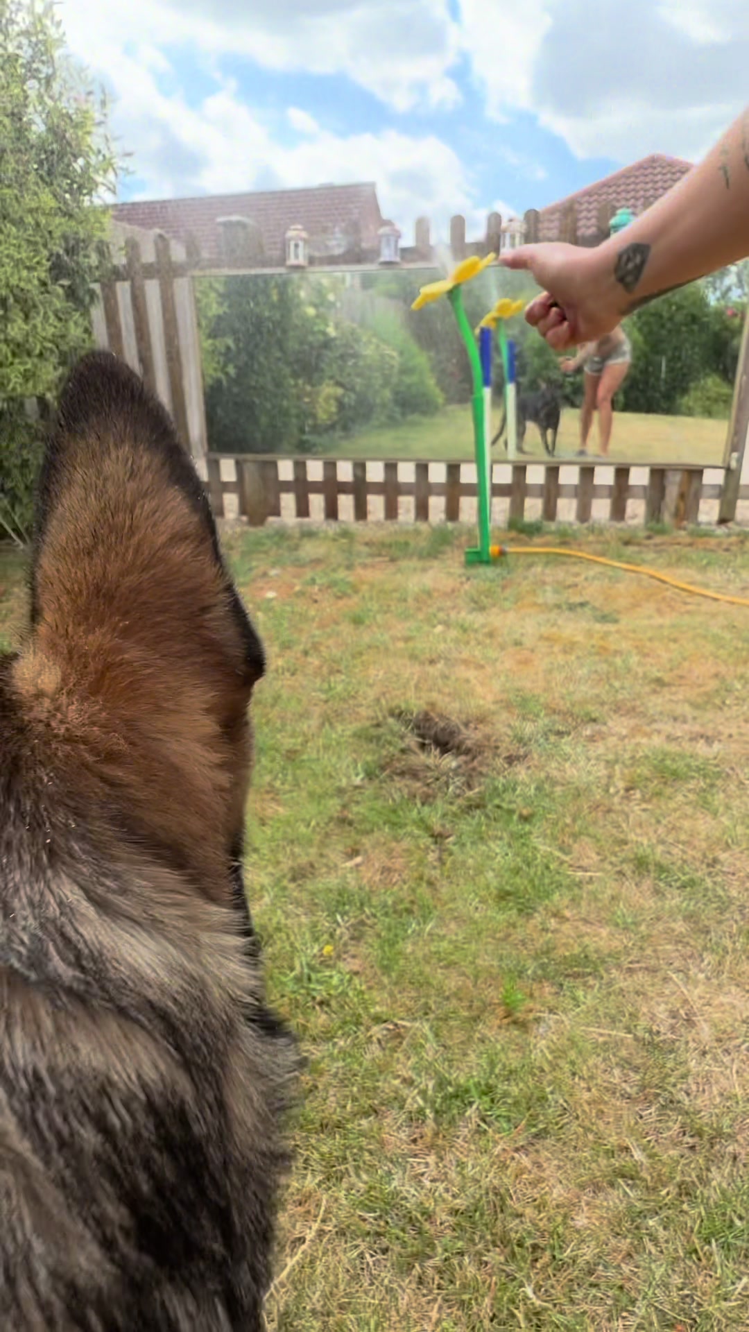 @Vonbekkas GSD
