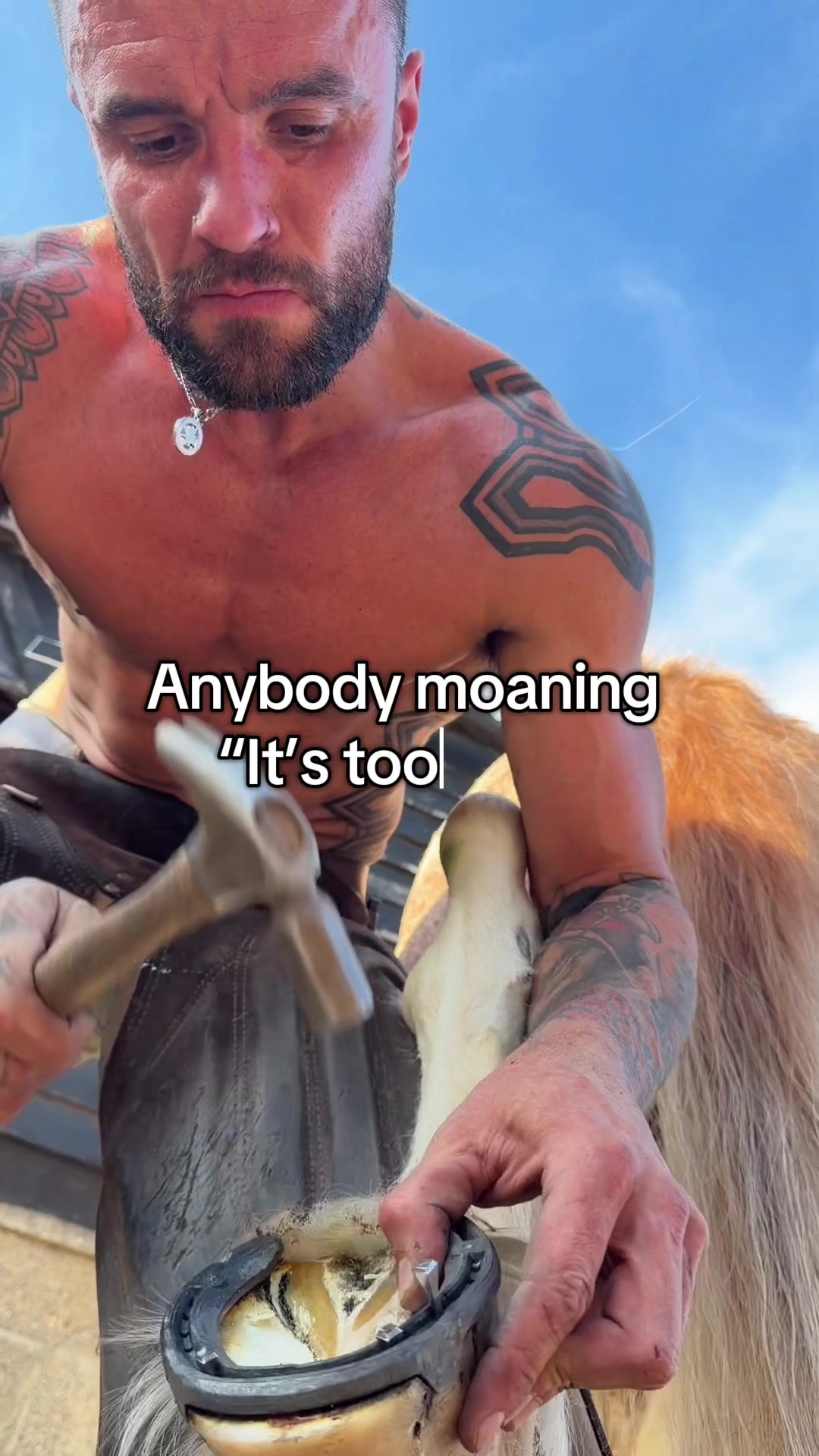 @Sammarlowfarrierlife