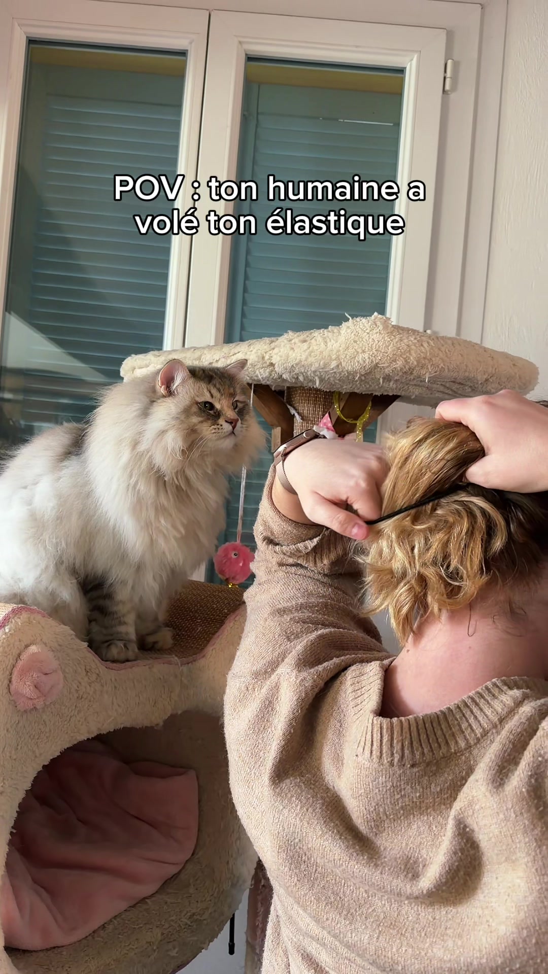 @La Patt’Enchantée