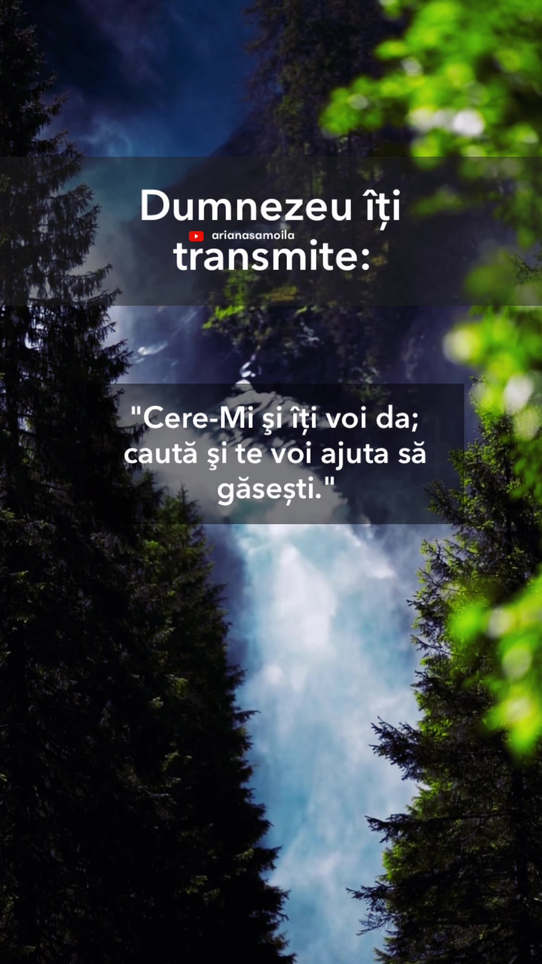 @Ariana Samoilă