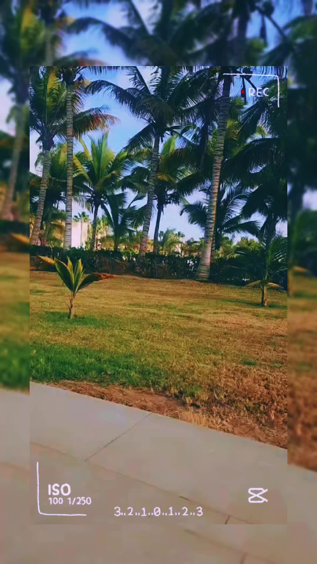 @obi_lalasky