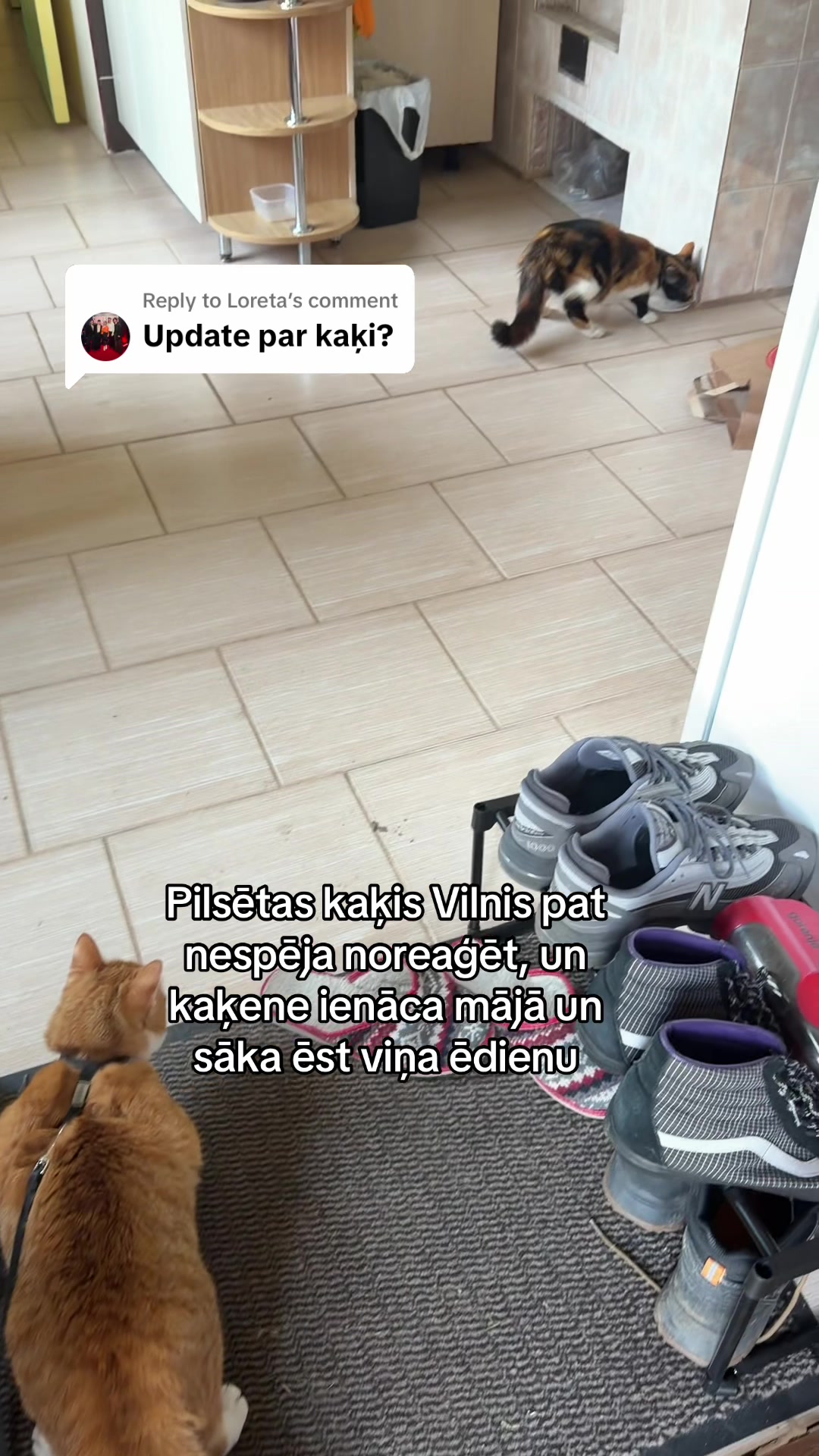 @Niima