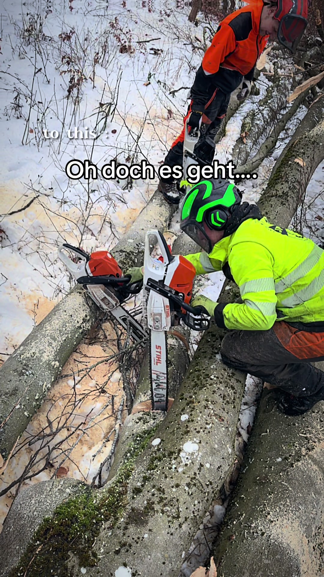 @ForstarbeitenBMK