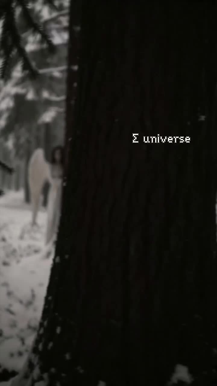 @&Sigma; universe