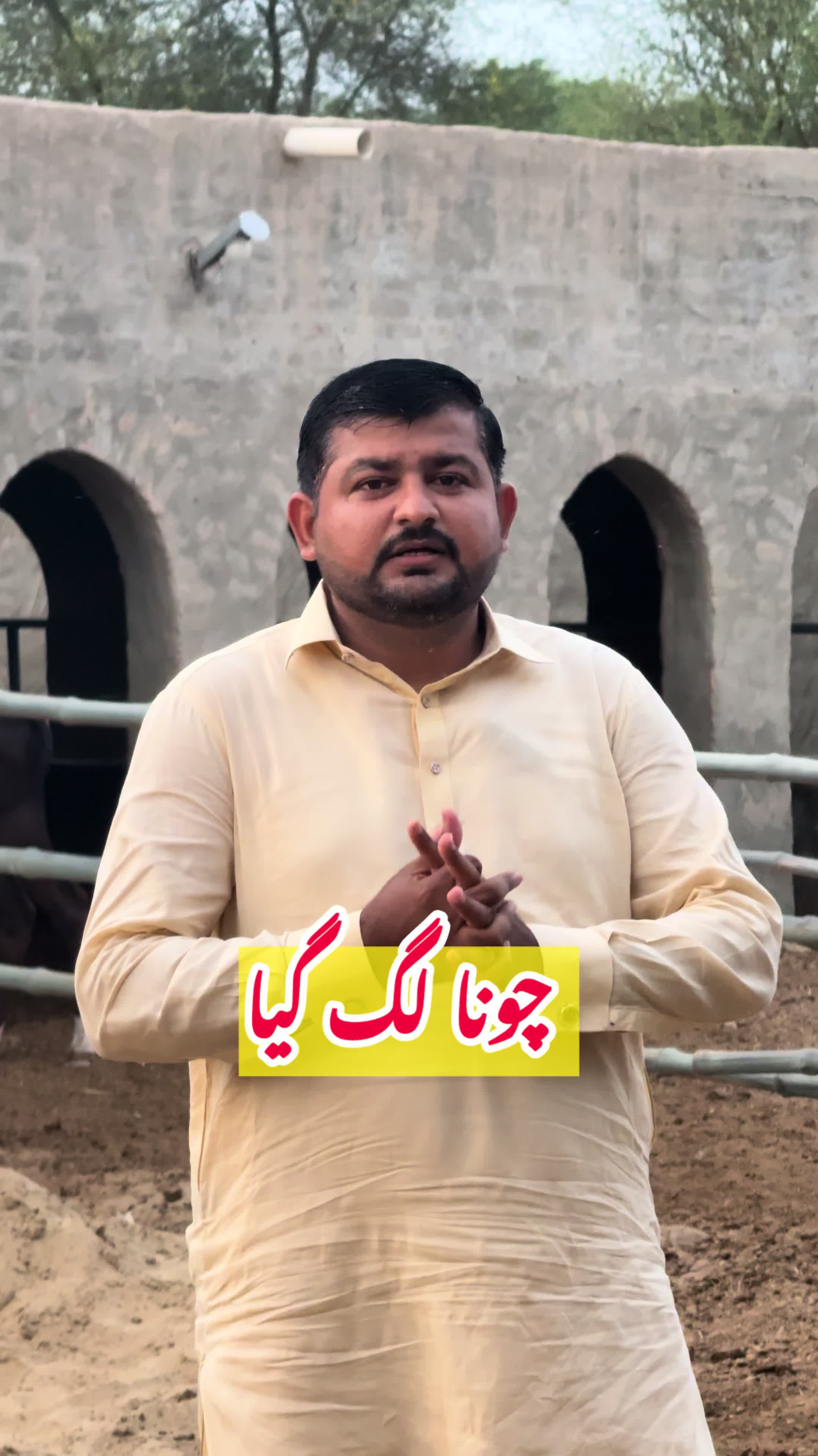 @vet.dr.mohsin4800
