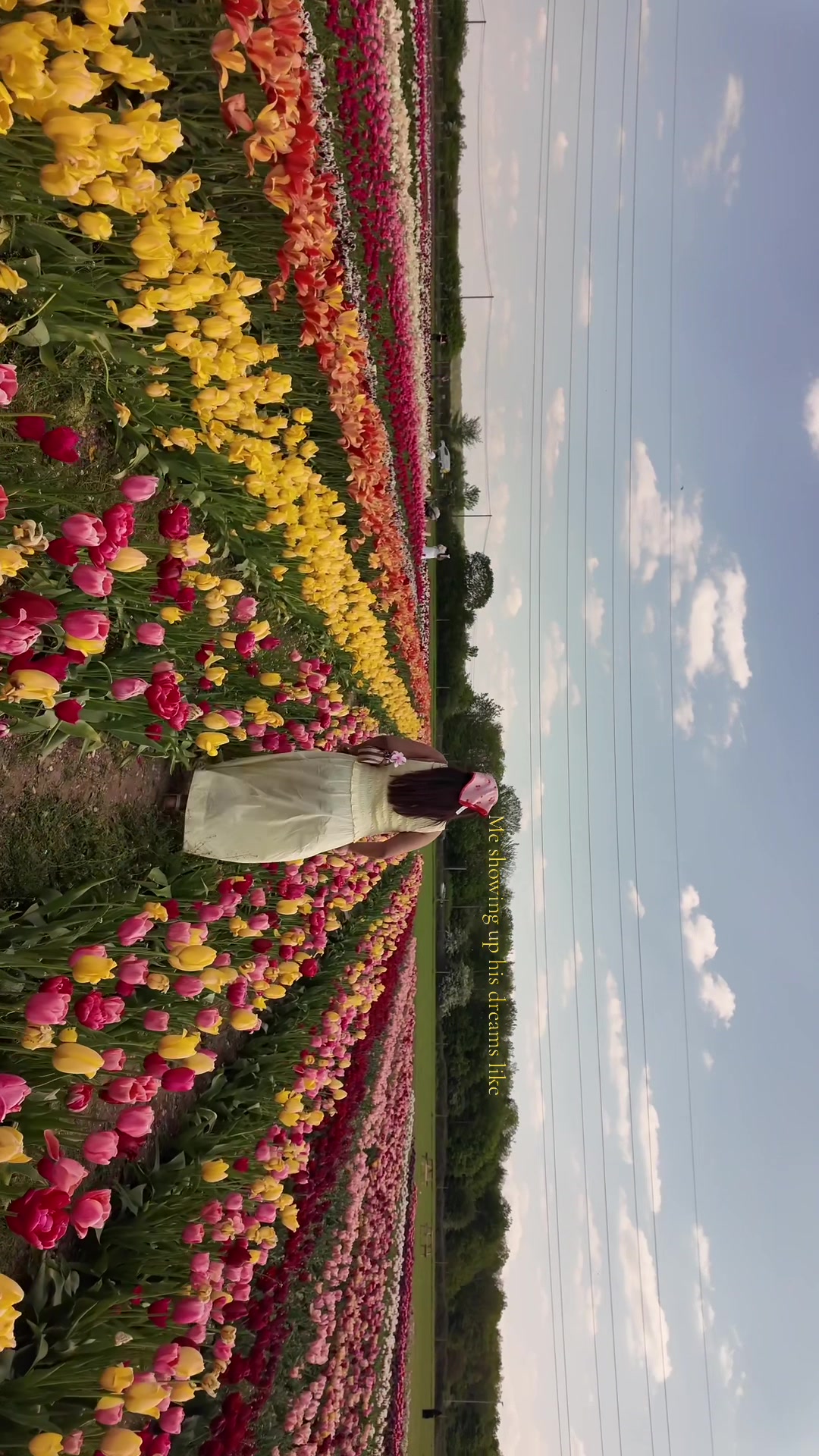 @Prithulll 🇧🇩