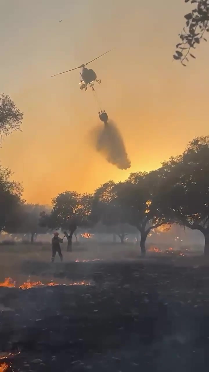 @Bombero Forestal
